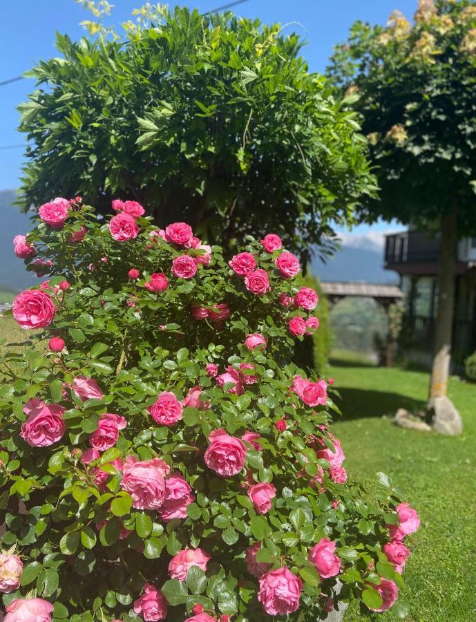 Haus Schwaighof Daire Arzl im Pitztal Dış mekan fotoğraf