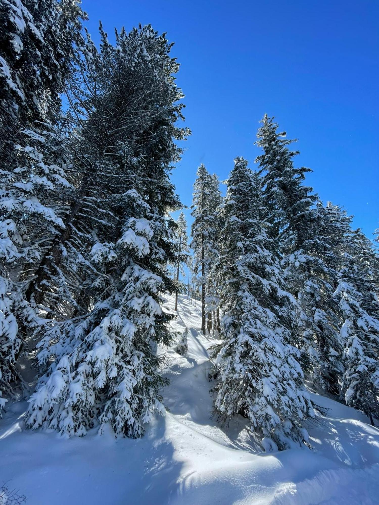 Haus Schwaighof Daire Arzl im Pitztal Dış mekan fotoğraf