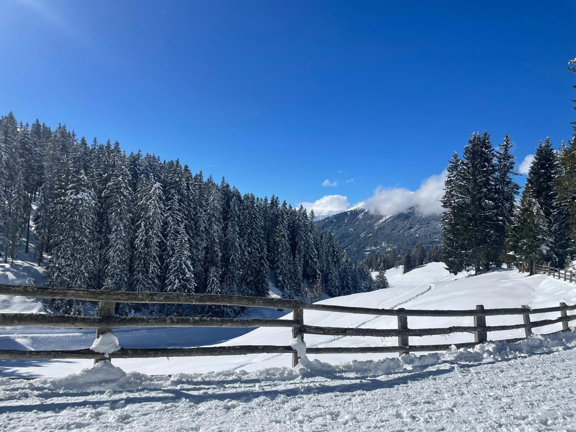 Haus Schwaighof Daire Arzl im Pitztal Dış mekan fotoğraf