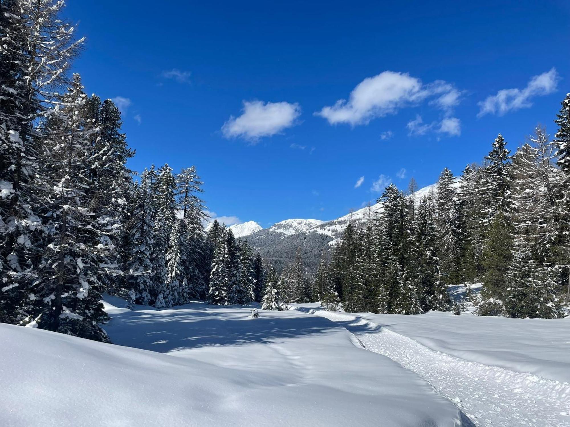 Haus Schwaighof Daire Arzl im Pitztal Dış mekan fotoğraf